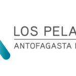 AMSA Los Pelambres_logo