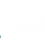 AMSA ZALDIVAR_LOGO_BLANCO